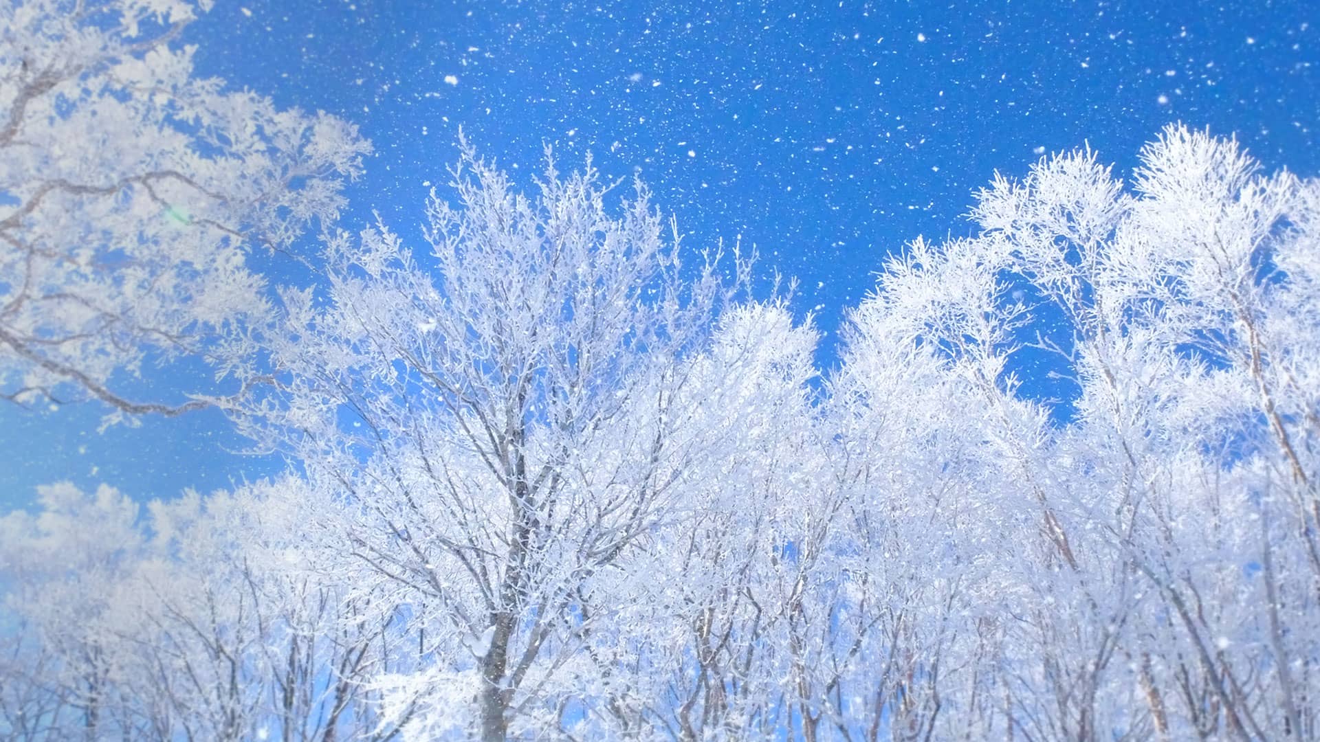 大切な時間を大切な人と。