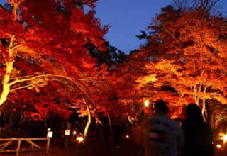 月の石もみじ公園