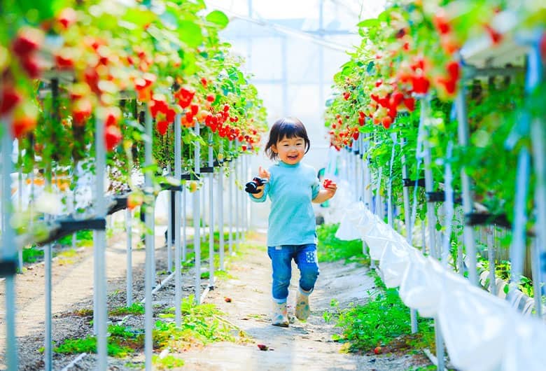 秩父長瀞地方でひと遊び！